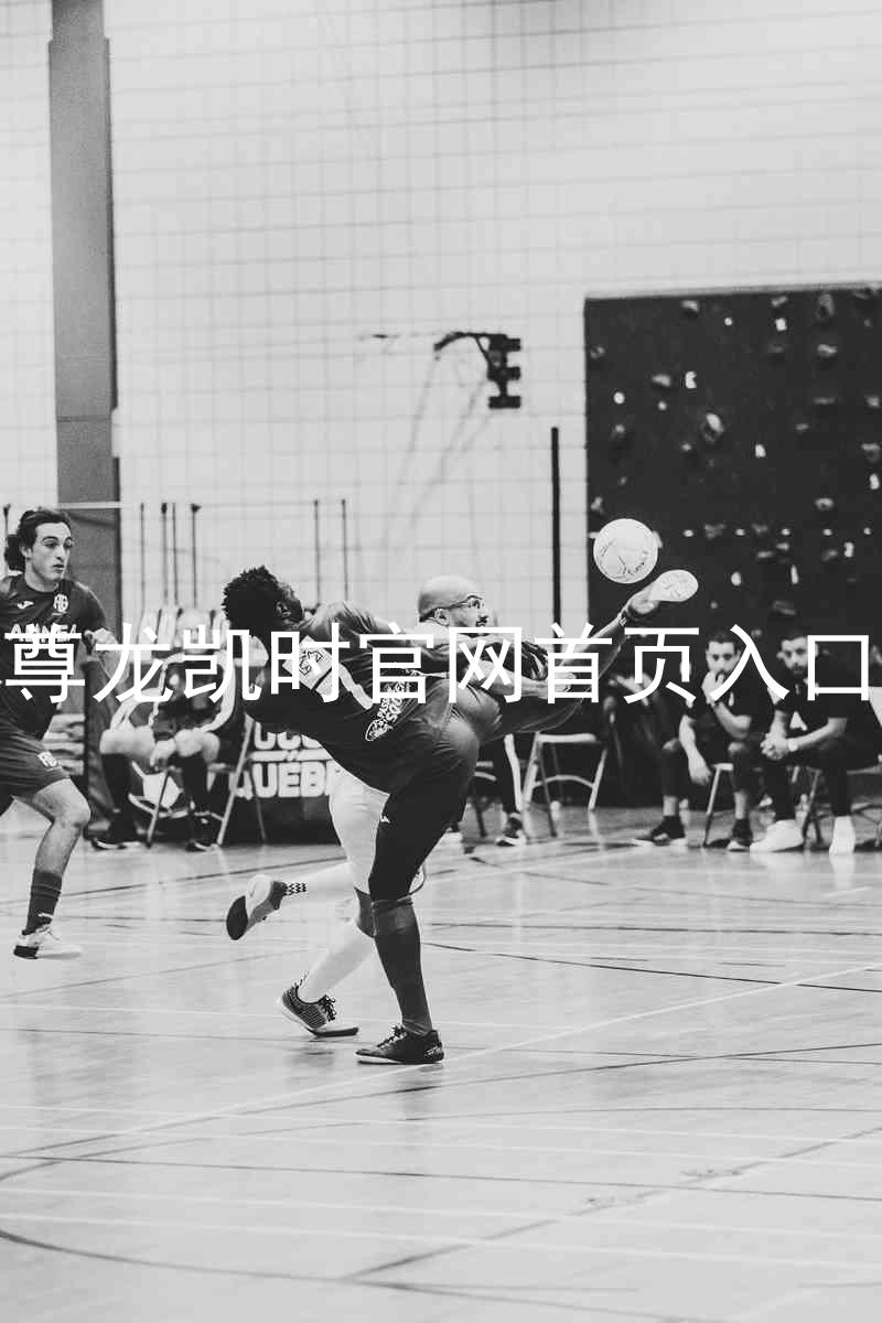 尊龙凯时官网首页入口